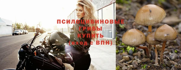 крисы Алексеевка