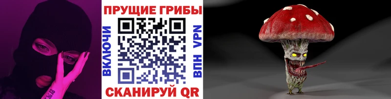 Галлюциногенные грибы ЛСД  закладки  Красноармейск 