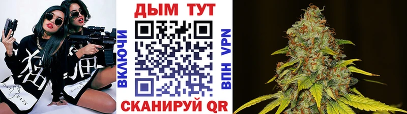 Конопля Ganja  Красноармейск 